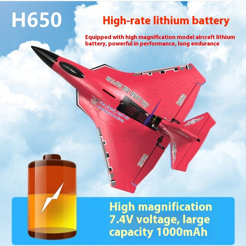 H650 Big Size Rc Plane Water P - Rc Glider Foam Wing recension och pris
