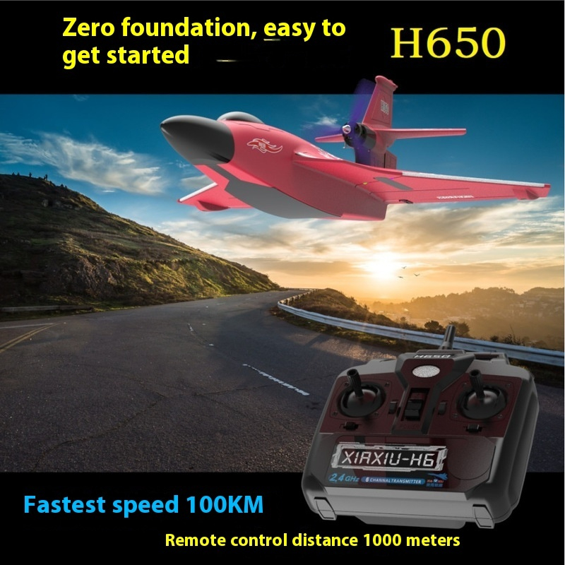 H650 Big Size Rc Plane Water P - Rc Glider Foam Wing recension och pris