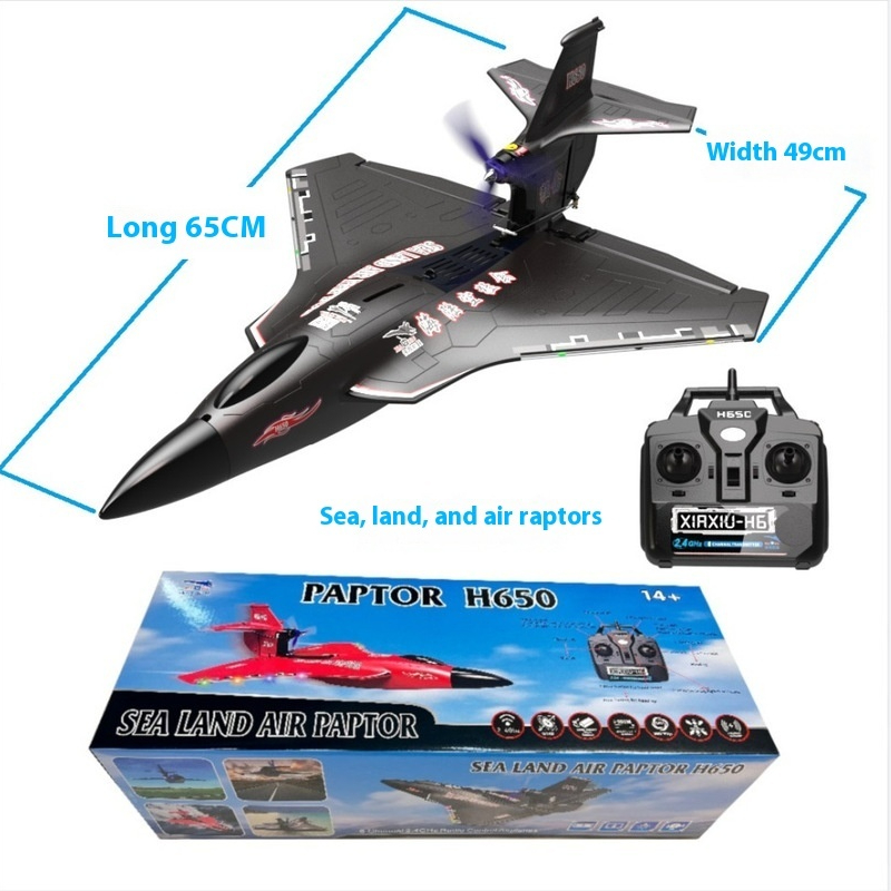 H650 Big Size Rc Plane Water P - Rc Glider Foam Wing recension och pris
